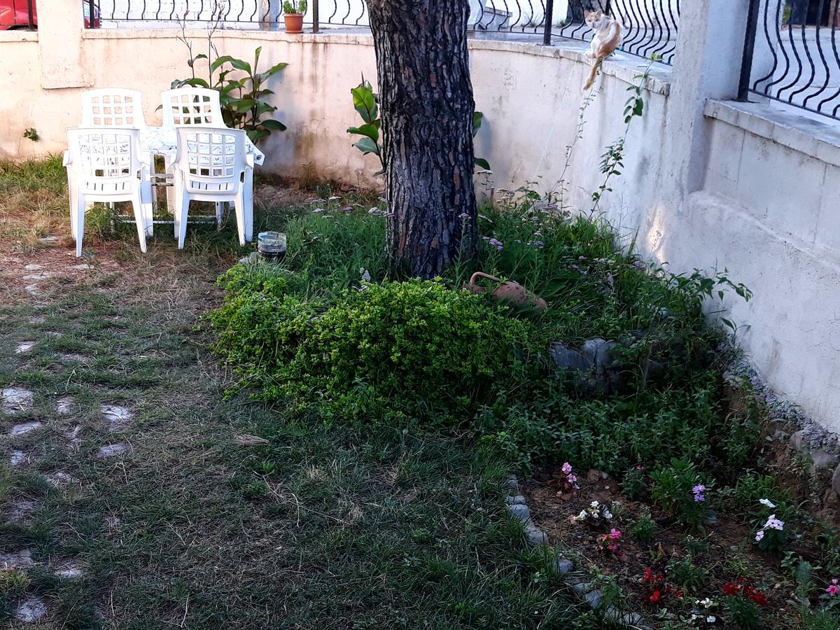 Cerit Pansiyon İmroz Extérieur photo